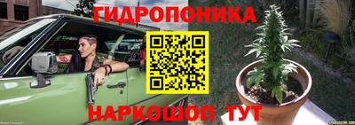 spice Заволжье