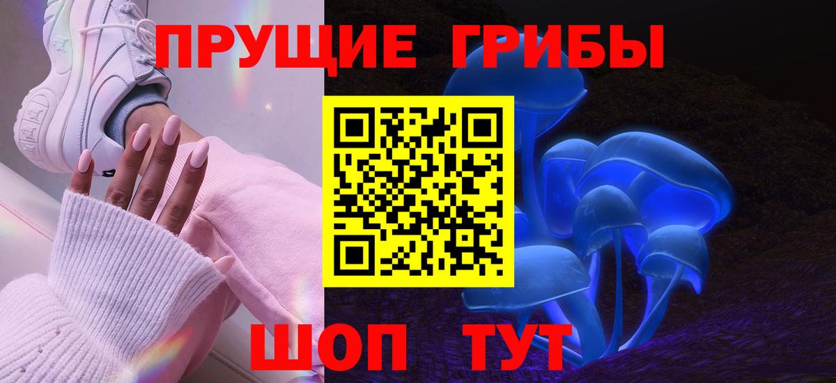 Назрань  Псилоцибиновые грибы мухоморы  закладки  Вход с VPN 
